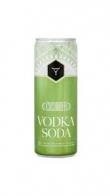 Conniption - Cucumber Vodka Soda (355)